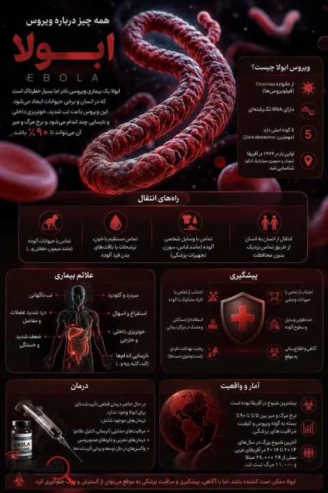 همه چیز در مورد ویروس ابولا